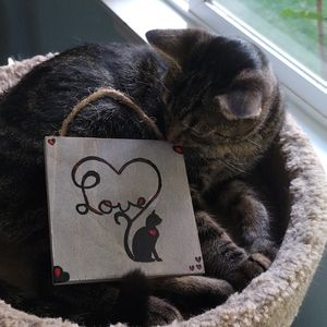 Love Cat